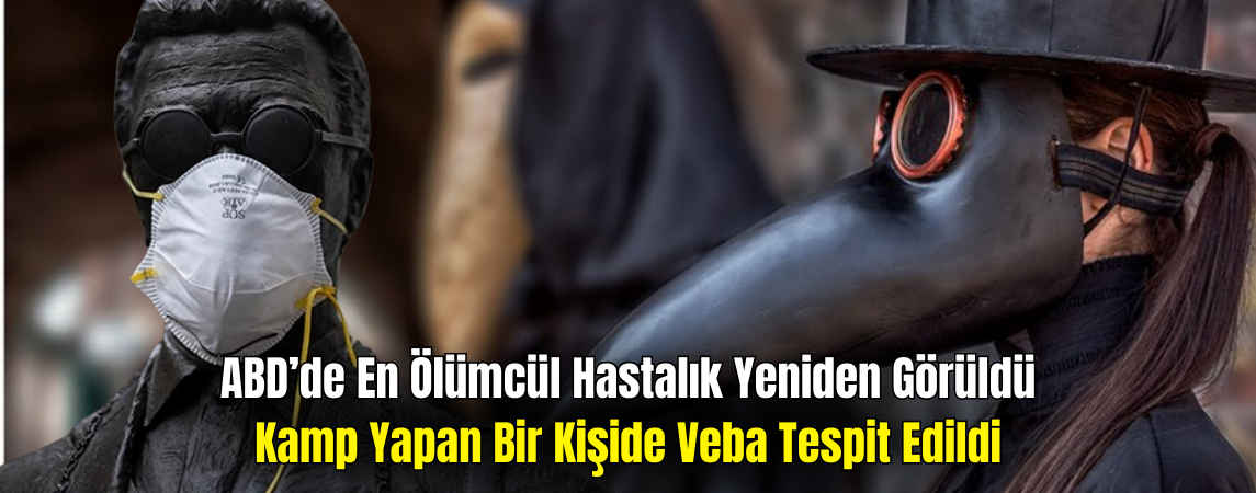 ABD’de Kampçıya Veba Teşhisi
